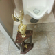 Image for article titled I Was A Quizbowl Champion